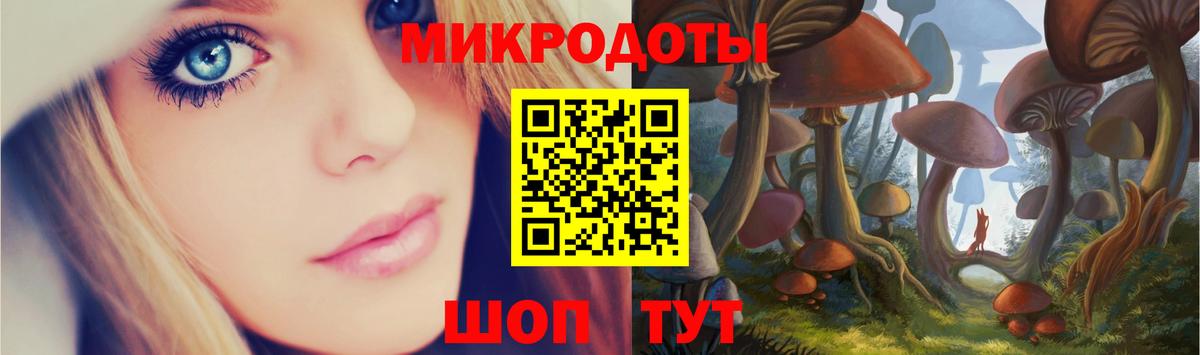 Братск  купить закладку  Вход с VPN  Псилоцибиновые грибы мицелий 